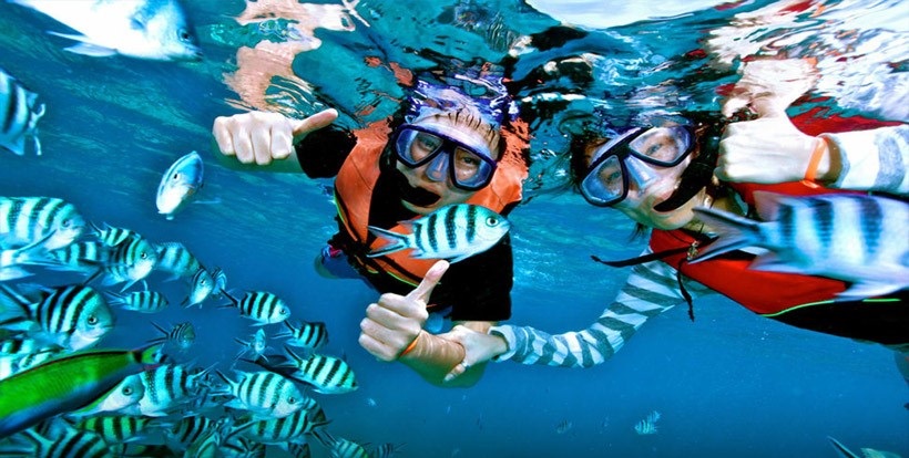 0IU90Ba3SS8I9n7ChHdRTjUk6alwv4ZYvRjg95zh