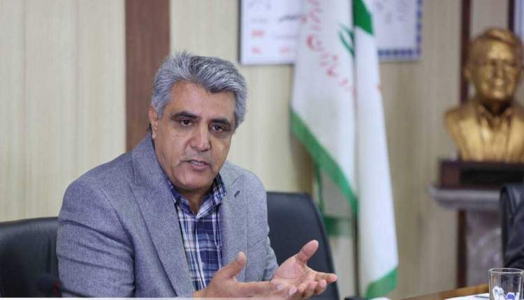 هادی-احمدی