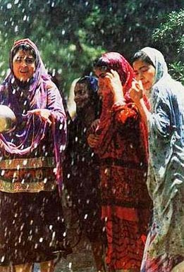 hhe2213-pashvnk-water