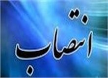 خزانه‌دار کل دانشگاه آزاد منصوب شد
