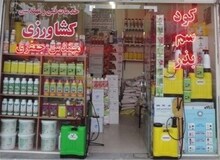 به کما رفتن دو کودک بر اثر استفاده از سم کشاورزی