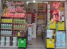 به کما رفتن دو کودک بر اثر استفاده از سم کشاورزی