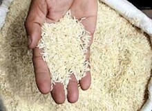 کمبود برنج قویا تکذیب می‌شود
