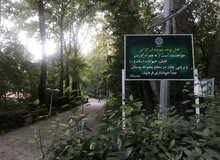 بردن ساز به پارک‌ها آزاد شد؟
