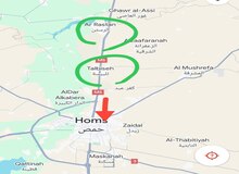 تحریر الشام به ۵ کیلومتری شهر حمص رسید