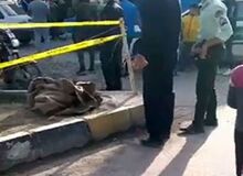 این قتل های ناموسی تمام می شوند؟! 