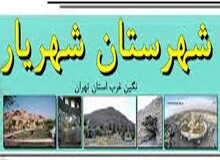 دولت پشت مدیران کارآمد و مسئولیت پذیر خود بایستد/تخریب فرماندار شهریار با اغراض سیاسی همراه است