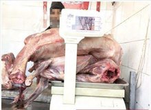 فروش گوشت سگ در مشهد!
