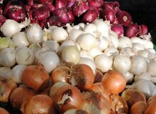 رونمایی از پیاز ۱۳ هزار تومانی در تهران؛ وزیر کشاورزی کجاست؟