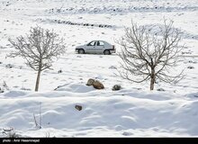 آخرین وضعیت جوی استان های کشور ؛ بارش باران شدید در برخی استان ها/ بارش برف بهاری در جاده‌های چهار محال بختیاری و کرمان