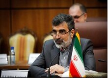 امیرآبادی فراهانی: مصاحبه  سوال برانگیز  «کمالوندی» را در کمیسیون امنیت پیگیری می کنیم!