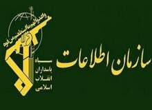 دستگیری یک تبعه خارجی در اعتراضات اخیر توسط سپاه