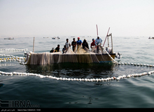 ماهیگیری سبز