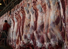 کاهش ۲هزار تومانی نرخ گوشت گوسفندی