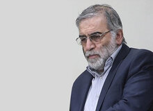 سخنگوی قوه قضاییه: پرونده ترور شهید فخری‌زاده ۱۵ متهم دارد