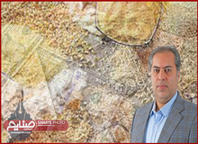 خطر جنگ روسیه و اوکراین برای ایران جدی شد/ وارد کنندگان نمی توانند خوراک دام و طیور وارد کنند