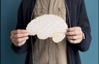 کشف راهی جدید برای مقابله با آلزایمر