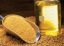 قیمت ارزی انواع غلات، روغن خام و دانه های روغنی اعلام شد+ جدول