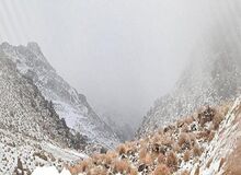 زمستان به عربستان رسید/ بخش‌هایی از شبه جزیره سفیدپوش شد