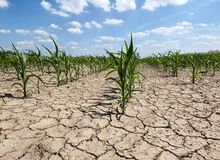 کمسیون تلفیق مجلس زیر تیغ نظارت اجتماعی 