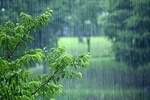 توصیه کارشناس هواشناسی به کشاورزان برای ۴ روز آینده
