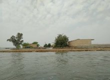 دختر تازه متولد شده در محاصره سیلاب+ عکس
