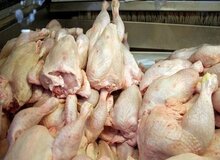 رئیس اتحادیه فروشندگان پرنده و ماهی خبر داد: مرغ کیلویی ۱۱ هزار تومان / تغییر مجدد قیمت مرغ تا ماه آینده