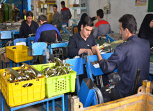  به دلیل دستمزد‌ پایین، کارگران دیگر رغبتی به کار در کارخانه ها ندارند