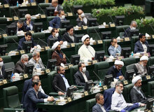 طرح ممنوعیت انتصاب مدیران دارای تابعیت مضاعف اعلام وصول شد
