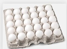 قیمت جدید تخم‌مرغ اعلام شد/ هر کیلو تخم‌مرغ برای مصرف‌کننده چقدر مصوب شد؟