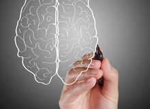 کمبود حافظه به خاطر فقدان فقط یک ویتامین
