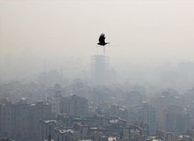 کلیه مراکز آموزشی نوبت عصر مشهد تعطیل شد