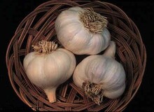 سیر بخورید، سالم بمانید