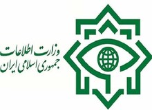وزارت اطلاعات: جلوگیری از خروج غیرقانونی ارز از کشور توسط شبکه هرمی فایننشیال
