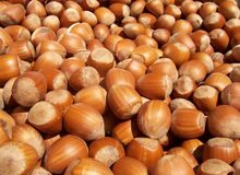 چهار فایده بی‌نظیر فندق برای سلامت بدن/ از حفظ سلامت قلب تا کاهش خطر ریسک ابتلا به سرطان