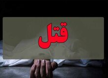 مرگ شیرین!/ روایتی از یک خواهر و برادر که با حلوا آدم می کشتند