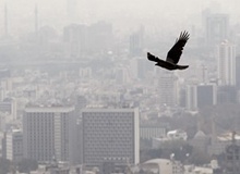 مرگ سالانه بیش از ۷ میلیون نفر در جهان به علت آلودگی هوا
