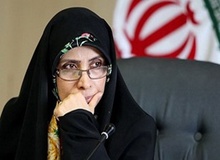 امین‌زاده: نقد مشفقانه دولت جنبه پیشگیری دارد نه مچ‌گیری