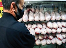  رسول جهانگیری، رییس اتاق اصناف اصفهان: دستورات مقام‌های  وزارت صمت برای کاهش قیمت مرغ بیشتر جنبه رسانه‌ای دارند