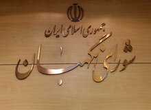 انتخابات شوراها الکترونیک برگزار می‌شود