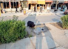 اصل ماجرای تصویر آب خوردن یک زن از گودال چیست؟/ عکس
