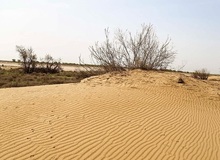 معاون سازمان منابع طبیعی خبر داد: افزایش ۲.۵ میلیون هکتاری بیابان‌های کشور در دهه اخیر