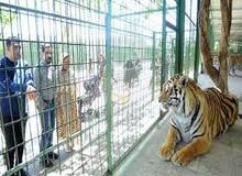 مرگ‌ومیرهای پی‌درپی حیوانات در باغ وحش ارم