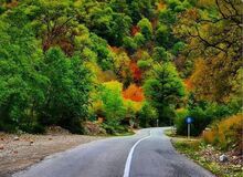 «مدیریت پایدار» امان‌نامه جنگل‌های کشور