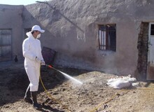رئیس دانشگاه علوم پزشکی شیراز: شناسایی 8مورد مشکوک به تب کریمه کنگو در شیراز