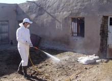 رئیس دانشگاه علوم پزشکی شیراز: شناسایی 8مورد مشکوک به تب کریمه کنگو در شیراز