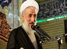 صدیقی: سگ گردانی، بدحجابی و دوری از فرزند آوری مصداق بی عفتی و هرزگی ست / سگ گردانی جنگ مستقیم با خداست