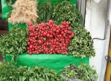 سبزیجات جنوب تهران با مواد نفتی آبیاری می‌شود؟!