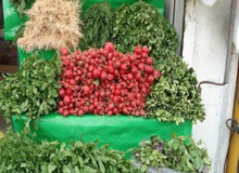 سبزیجات جنوب تهران با مواد نفتی آبیاری می‌شود؟!