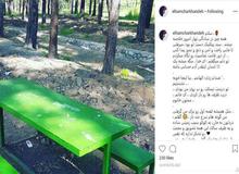 الهام چرخنده برای سومین بار ازدواج کرد+عکس